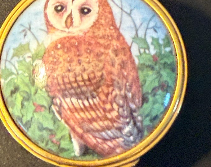 Vintage Barn Owl Trinket Box by Tyto Alba Fine Bone China Enamel Owl Box Made in England Lover Antiques and Vintage