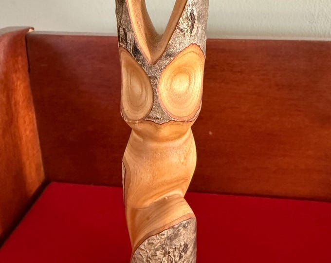 Vintage Carved Owl Signed Nadjiwon Cape Croker Owl Figure Lover Antiques and Vintage