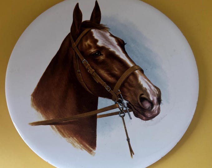 Vintage Hyalyn Horse Trivet USA Porcelain Trivet or Wall Hanging Round Number 5076 Lover Antiques and Vintage