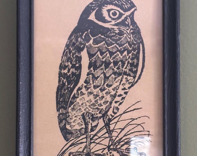 Vintage Owl Wall Art Linocut Framed Print by Pipestone Printhouse RIP and Deen Bodman Lover Antiques and Vintage