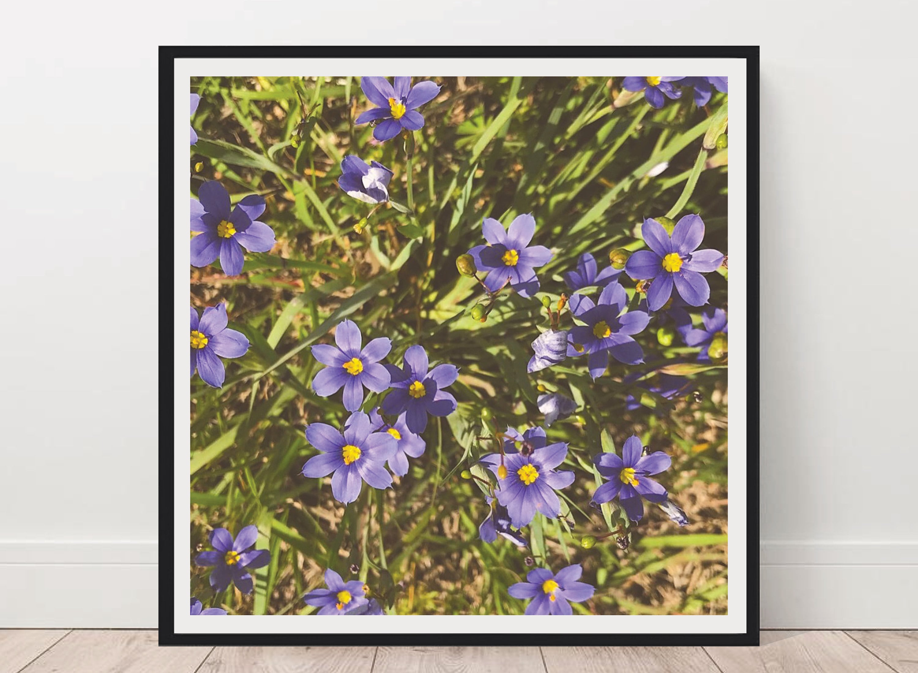 Flower Printable, Purple Flowers, Instant Download, Floral Wall Art ...