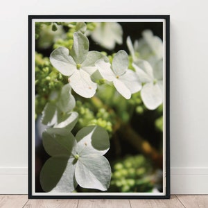 White flower print, flower wall art, white flower, floral decor, instant download,