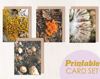 Printable card set, set of 4 cards, woodland card set, mushroom card, forest invitations, blank inside, all occasion cards