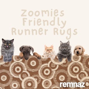 May include: A promotional image for "Zoomies Friendly Runner Rugs" featuring five pets: two cats, two dogs, and a puppy. The pets are peeking over a brown rug with a cream-colored circular pattern. The brand name "remnaz" is visible.