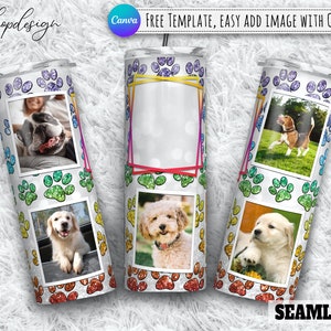 Dog Paw Print Rainbow Glitter Photo Frame Tumbler, 20 Oz Tumbler, Skinny Tumbler, Sublimation Graphics, Digital Download, Wrap Png Design