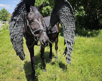 Horse wings, Pegasus wings, horse cosplay, dragon wings for horse, horse costume for horse day, rider wings