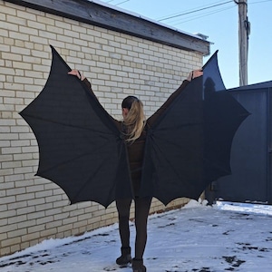 Puede incluir: Una persona con un atuendo marrón con grandes alas de murciélago negras. Las alas están extendidas, mostrando su forma puntiaguda y superficie texturizada. El fondo incluye una pared de ladrillos, nieve y un cielo azul.