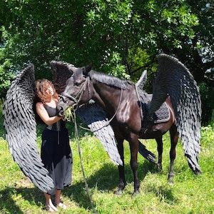 K&ouml;nnte beinhalten: Ein schwarzes Pferd mit gro&szlig;en, grauen Federfl&uuml;geln steht auf einer Wiese. Das Pferd ist gesattelt und gez&auml;umt. Eine Person in einem schwarzen Kleid steht in der N&auml;he des Pferdes und h&auml;lt die Z&uuml;gel.