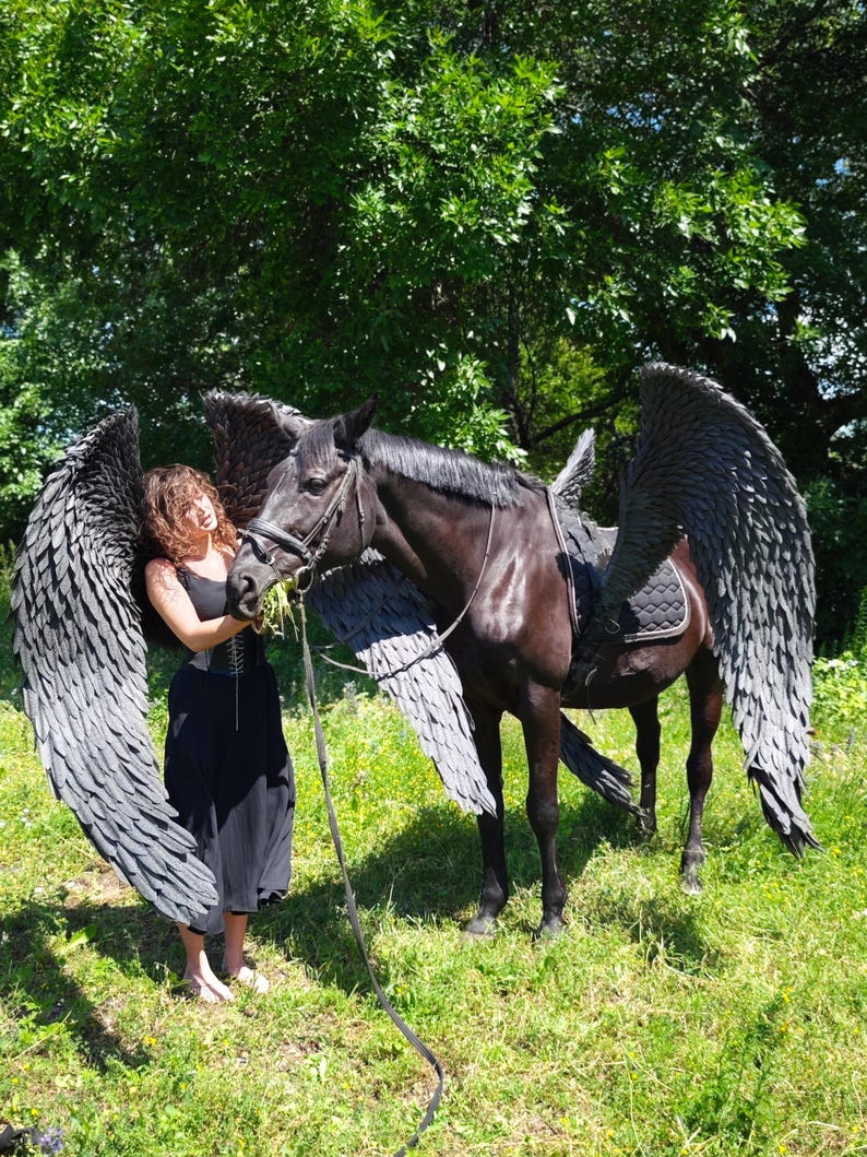 K&ouml;nnte beinhalten: Ein schwarzes Pferd mit gro&szlig;en, grauen Federfl&uuml;geln steht auf einer Wiese. Das Pferd ist gesattelt und gez&auml;umt. Eine Person in einem schwarzen Kleid steht in der N&auml;he des Pferdes und h&auml;lt die Z&uuml;gel.
