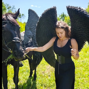 K&ouml;nnte beinhalten: Eine Person in einem schwarzen Kleid und Korsett steht neben einem schwarzen Pferd. Sie tr&auml;gt gro&szlig;e, schwarze Federfl&uuml;gel. Die Szene spielt sich im Freien an einem sonnigen Tag mit gr&uuml;nem Gras und B&auml;umen im Hintergrund ab.