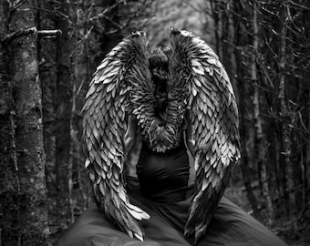 Large Dark Angel Wings for Adults, Fairy Wings, Cosplay Angel Costume, Halloween Dark Angel Wings, White Angel Costume, Black Wings Costume