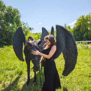 K&ouml;nnte beinhalten: Ein schwarzes Pferd mit gro&szlig;en, schwarzen Federfl&uuml;geln steht auf einer Wiese unter blauem Himmel. Eine Person in einem schwarzen Kleid und schwarzen Federfl&uuml;geln steht neben dem Pferd und ber&uuml;hrt seinen Kopf.