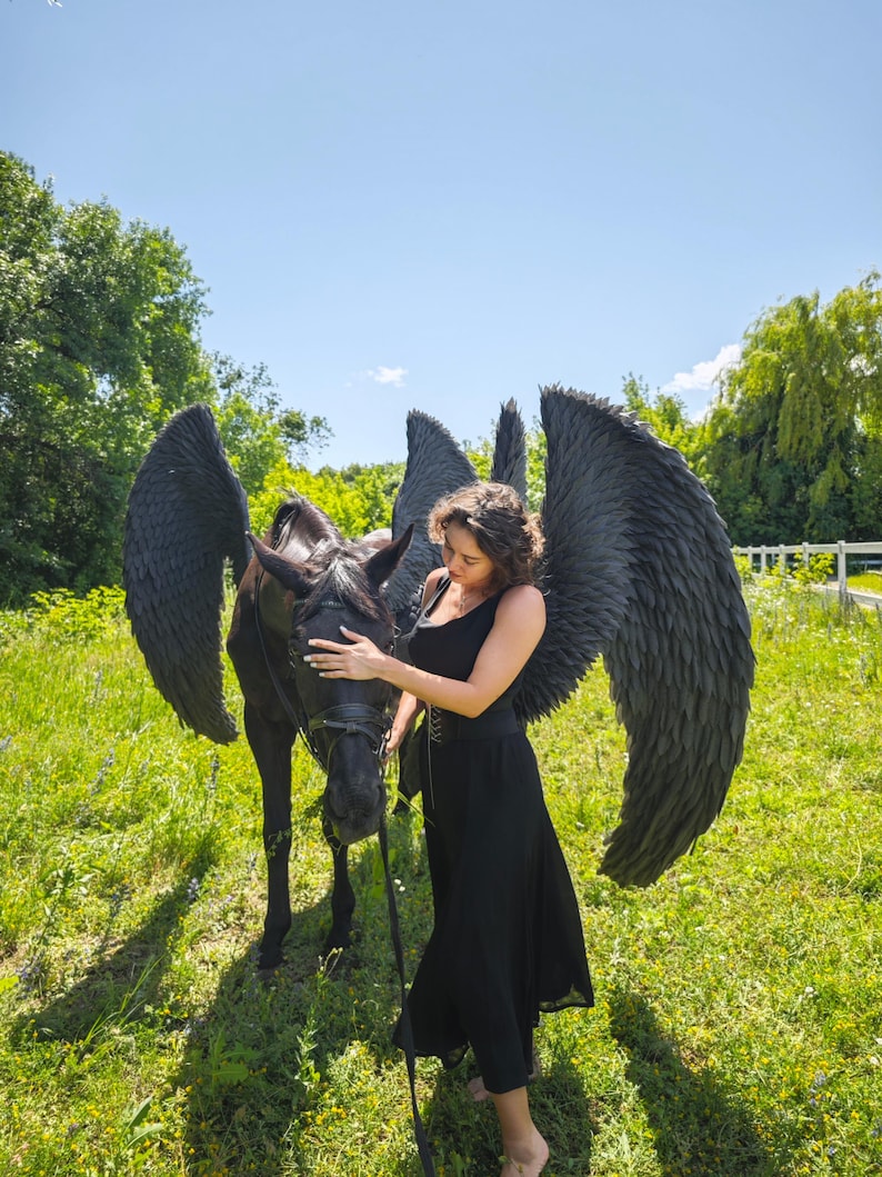 K&ouml;nnte beinhalten: Ein schwarzes Pferd mit gro&szlig;en, schwarzen Federfl&uuml;geln steht auf einer Wiese unter blauem Himmel. Eine Person in einem schwarzen Kleid und schwarzen Federfl&uuml;geln steht neben dem Pferd und ber&uuml;hrt seinen Kopf.