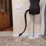 Devil Tail