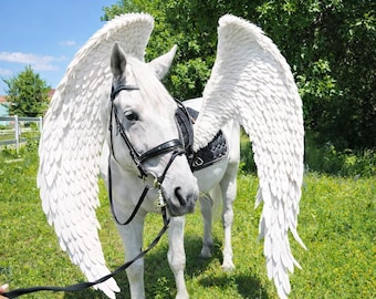 Pferdeflügel, Pegasusflügel, Pferde-Cosplay, Drachenflügel für Pferde, Pferdekostüm für den Pferdetag, Reiterflügel