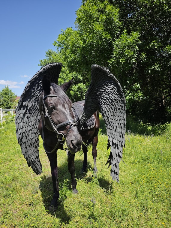 Horse wings, Pegasus wings, horse cosplay, dragon wings for horse, horse costume for horse day, rider wings