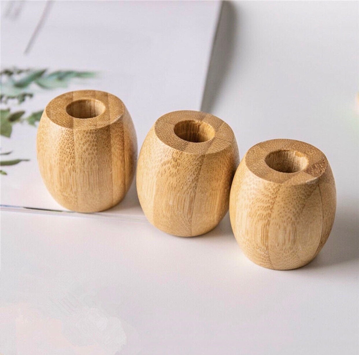 Bamboo Toothbrush Holder & Bamboo Toothbrush, Zero Waste, 100% Natural and Organic,  Eco-friendly, Natural Oral Care, Soft Bristles