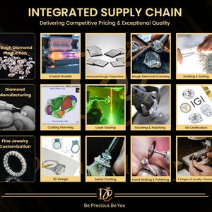 Op de afbeelding: Een infographic getiteld INTEGRATED SUPPLY CHAIN met details over diamantproductie, fabricage en het aanpassen van sieraden. Het bevat twaalf panelen die processen tonen zoals kristalgroei, laserzagen, 3D-ontwerp en IGI-certificering, met de tekst Be Precious Be You.