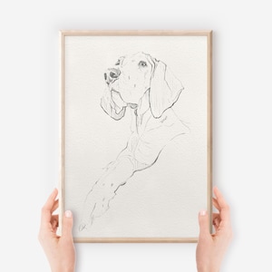 Pode incluir: Um desenho a lápis preto e branco da cabeça e dos ombros de um cão. O cão está olhando para cima e para a direita. O desenho está emoldurado em uma moldura de madeira clara.