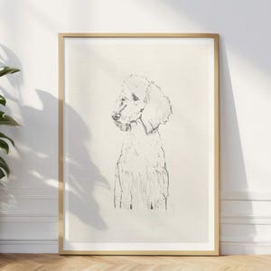 Op de afbeelding: Een zwart-witte lijntekening van een poedel in een ingelijst drukwerk. De hond kijkt naar links.