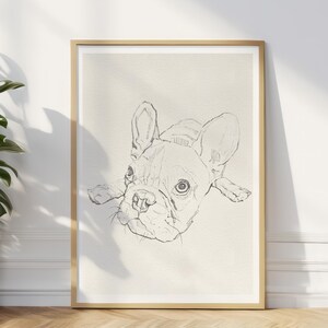 Frenchie Dog Loss Wall Art, French Bulldog Pencil Portrait Pet Memorial Gift Print