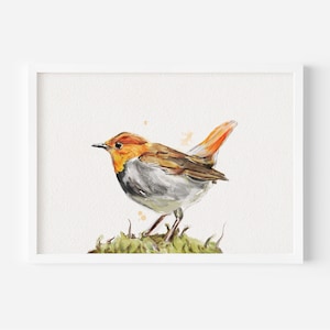 Robin Geschenke |Wanddeko | Vogel Drucke | Wohnkultur | Vogel-Liebhaber-Geschenk |