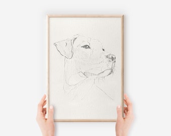 Rhodesian Ridgeback | Ridgeback dog | Dog drawing | Art Print | Wall Art | Rhodesian | Pencil drawing | Pencil Sketch | Dog artwork | Gifts