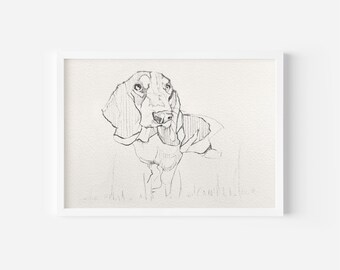 Basset Hound Art, Dog Sketch, (Digital Download) Printable Poster