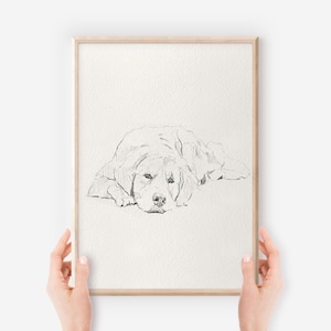 Golden Retriever Print, Dog Lover Gift,  Pet Portrait, Dog Wall Art, Golden Retriever Gift, Fine Art Prints