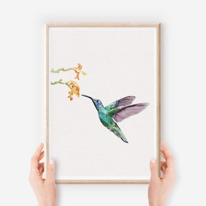 Impresión artística de colibrí / Pintura de pájaro en acuarela / Arte de pared de colibrí colorido / Regalo para amantes de las aves
