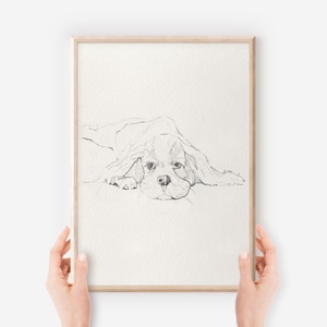 Arte de Cavalier Charles Spaniel, Desenho de Filhote de Spaniel, Presente para Amantes de Cães, Estampa de Cavalier King, Arte Única para Animais de Estimação