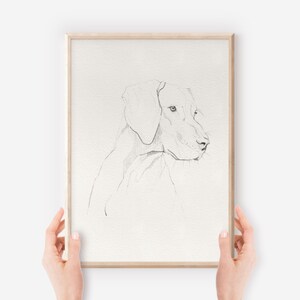 Hungarian Vizsla Pencil Drawing | Hand-Drawn Dog Sketch | Fine Art Print | Dog Lover Gifts | Pet Owner Wall Art |Expressive Pencil Art