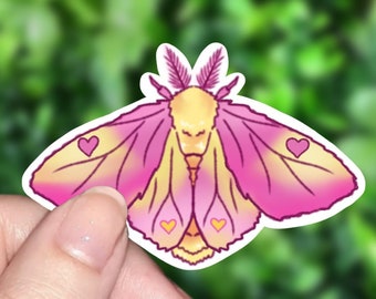 Rosy maple moth, an art print by pikaole - INPRNT