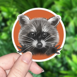 Cute Raccoon Sticker | Holographic Water Resistant