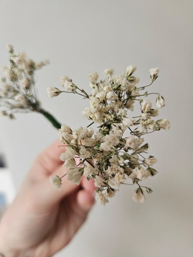 Gypsophila Hair Pins. Bridal Hair Ideas. White Wedding. Hair Pins. Prom Flowers. Wedding Flowers. Babys Breath Pins. Hair Accessory. Bild 3