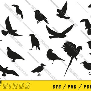 Bundle SVG oiseau | Silhouette d'oiseaux | Fichiers SVG | Couper des fichiers | Clipart | Clipart | Designs de T-shirts | Art mural | logo