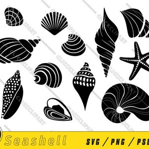 Schelpen SVG | Silhouetbundel | Zeeschelp PNG | Strand illustraties | SVG-bestanden | Bestanden knippen | T-shirt ontwerpen | Logo