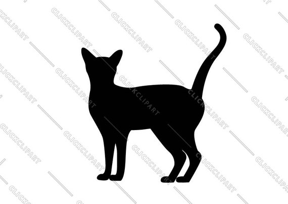 black cat silhouette clipart, kitty svg kitten (1908716)