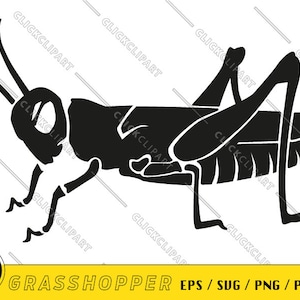 Bundle SVG de sauterelle | Silhouette de sauterelle | Criquet PNG | Couper des fichiers | Clipart | Designs de T-shirts | Art mural | logo