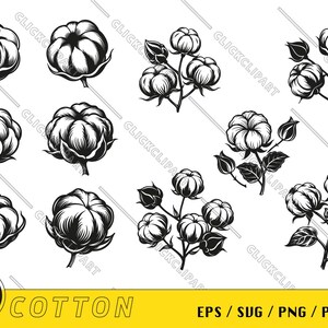 Cotone SVG | Cotton Boll PNG | Clipart di cotone | Pianta di cotone | Fiore | Linea Arte | Sagoma | Pacchetto Svg | Taglia file