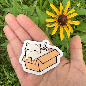 Cat In a Box Vinyl Sticker for Laptops, Cute Sticker, Laptop Sticker, Phone Sticker