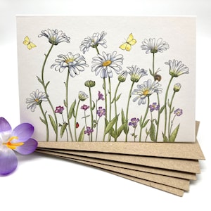 Daisy Notecard-pakket van 5, geïllustreerde Flower Notecards,