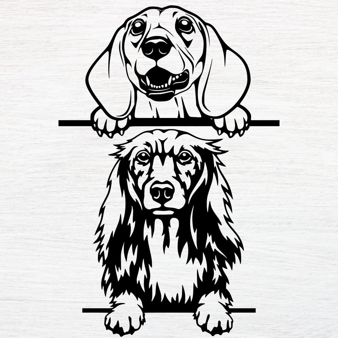 Dachshund svg dachshund dog clipart dachshund long hair | Etsy