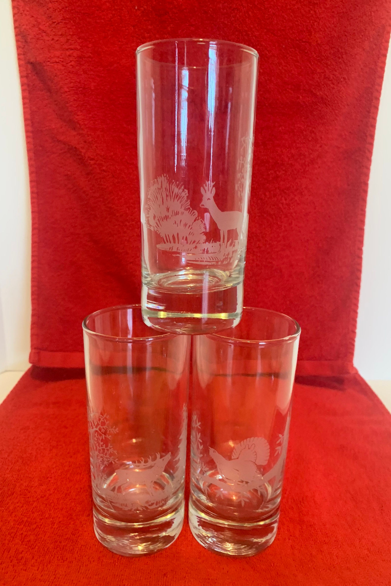 Wild Life Etched Set of 4 Highball Glasses. German Made. Etsy