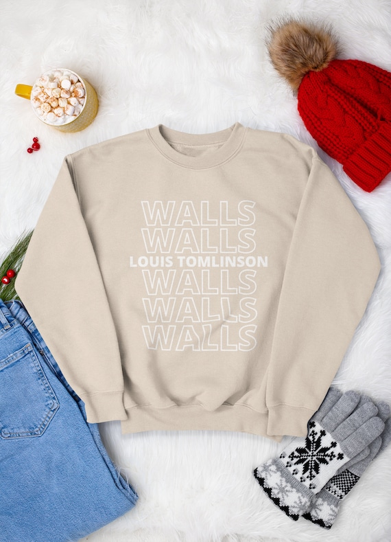 Louis Tomlinson Walls In Black Hoodie