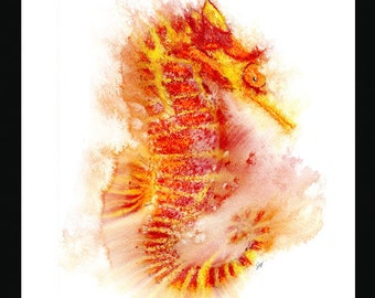 Fiery Seahorse | Seahorse Art| Seahorse  Wall Art | Orange Seahorse Fine Art Print | Sea Creatures | Fish Art | Shellfish Art | Marine Life