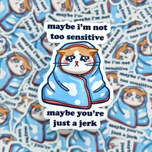 Sensitive Crying Cat, Maybe You're Just a Jerk Sticker - Weatherproof Vinyl Decal