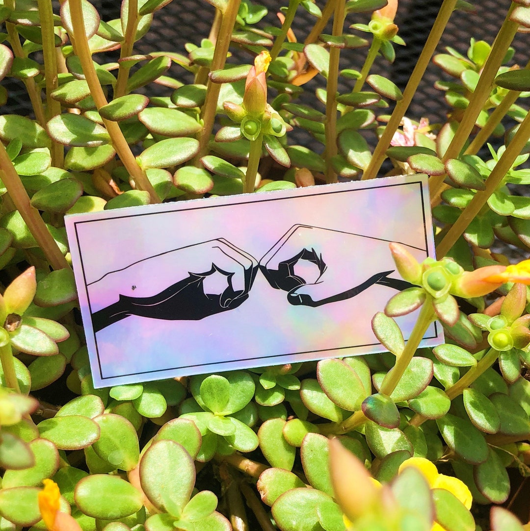 Holographic DAP SK8 Sticker - Etsy
