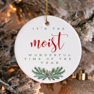 Cadeau drôle et inapproprié d&#39;éléphant blanc HUMIDE pour adulte, décorations de Noël amusantes, humour offensant pour adultes, ornements, cadeau sale père Noël,