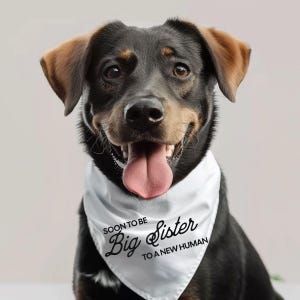 Big Sister Dog Bandana, Pregnancy announcement From Dog,Collar Bandana, Baby Announcement Pregnancy Reveal, Dog Promoted to Big Sister